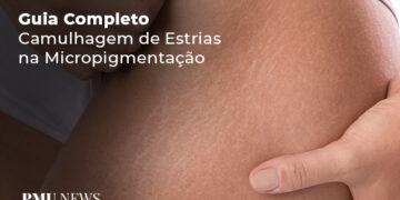 Guia-completo-camuflagem-d-estrias-na-micropigmentação