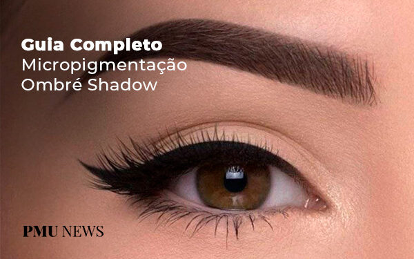 Guia-completo-micropigmentação-ombré-Shadow