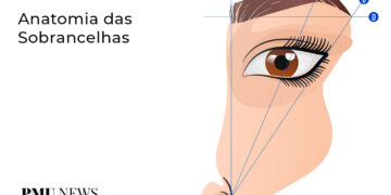 anatomia-das-sobrancelhas---aprenda-passo-a-passo